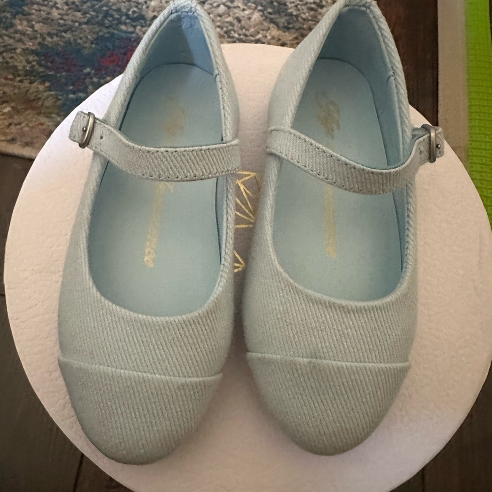 Elegant Sky Blue Mary Jane Dress Shoes